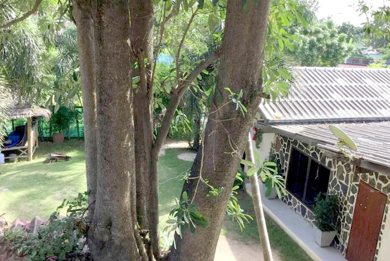 Wet! A Pool Party Hostel By Wild & Wandering Haad Rin Ngoại thất bức ảnh